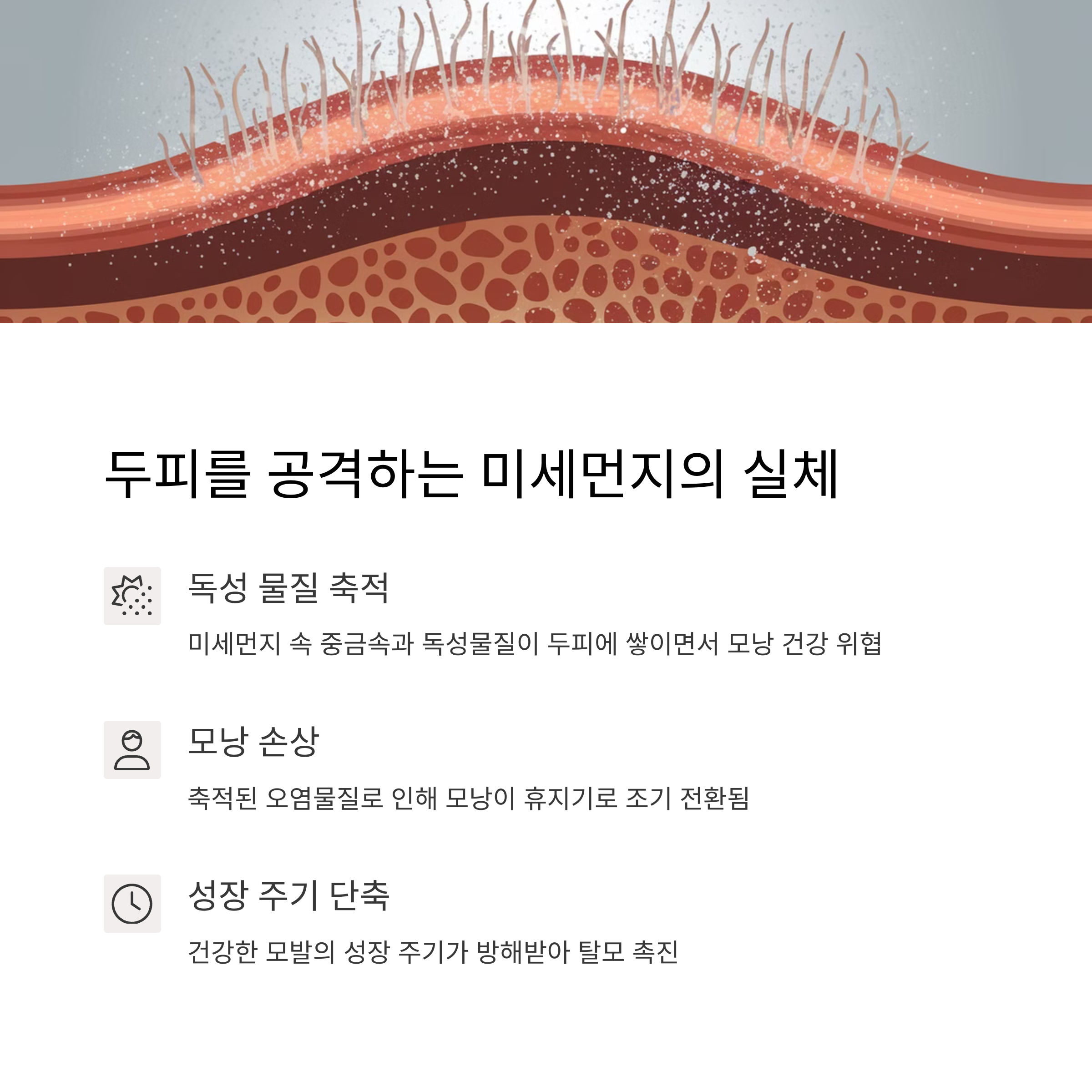 두피의 현미경 모습