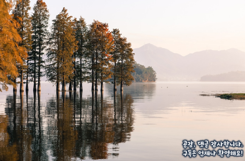 비자가필요한여행지