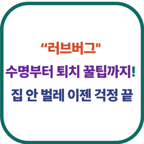 러브버그 퇴치방법 알아보기