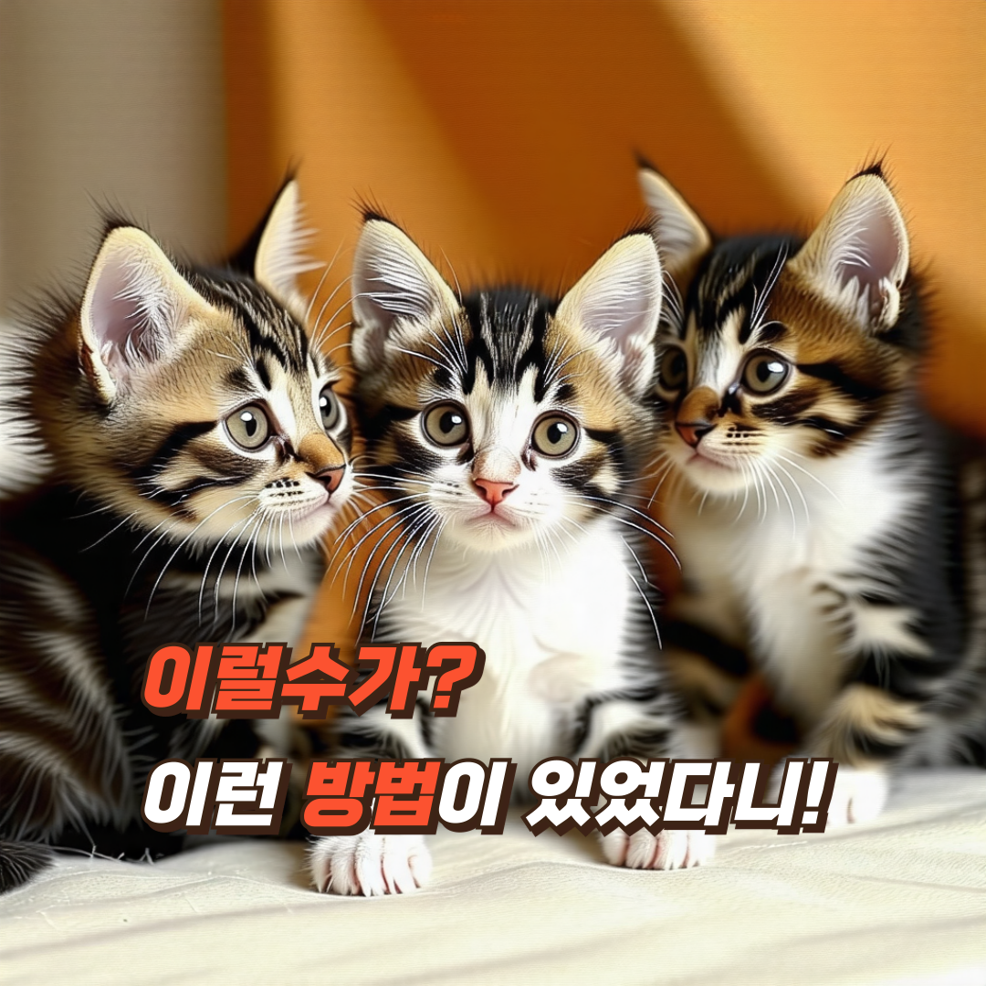 난소암-초기-증상