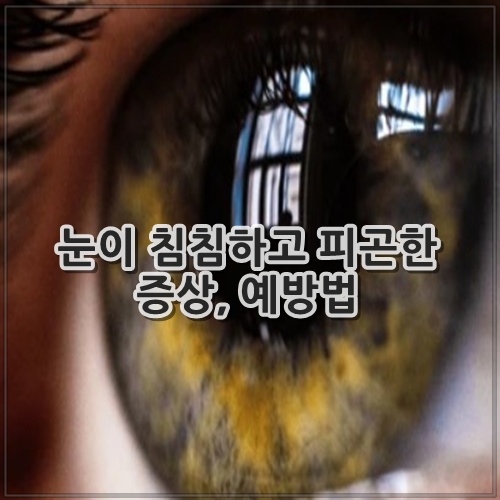 눈이 침침하고 피곤한 증상, 예방법