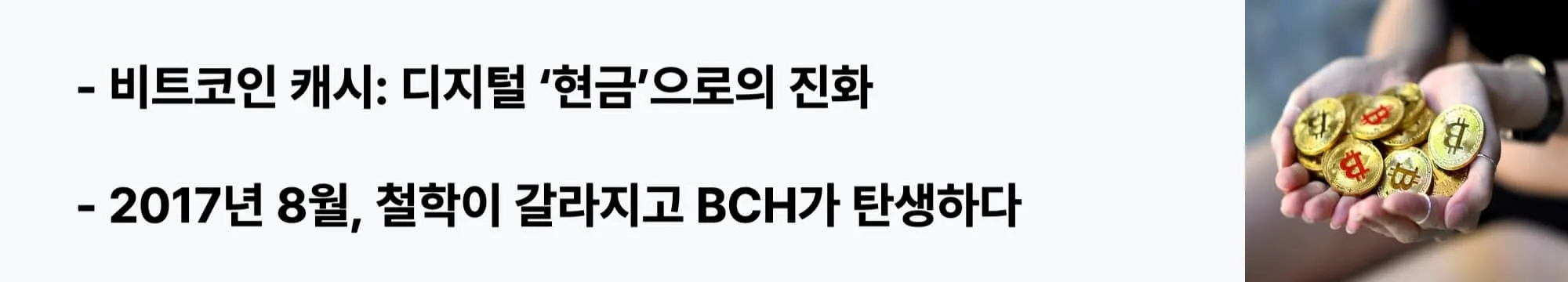 비트코인 캐시의 정의와 탄생 배경을 설명하는 웹배너 이미지. 2017년 8월 하드포크를 통해 디지털 &lsquo;현금&rsquo; 개념으로 등장한 BCH의 철학과 차별점을 강조함 (what is bitcoin cash)