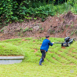 벌초 대행 서비스 사진11 
