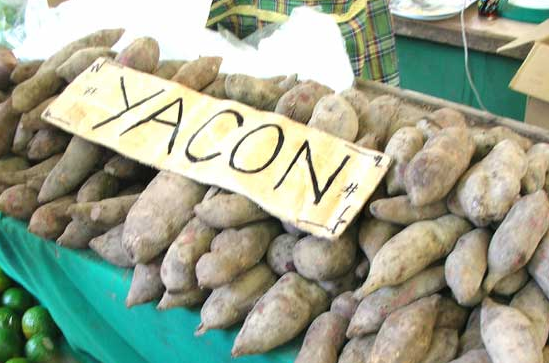 야콘 효능, 부작용, 먹는 법 알아보기