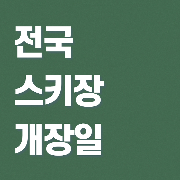 전국 스키장 개장일