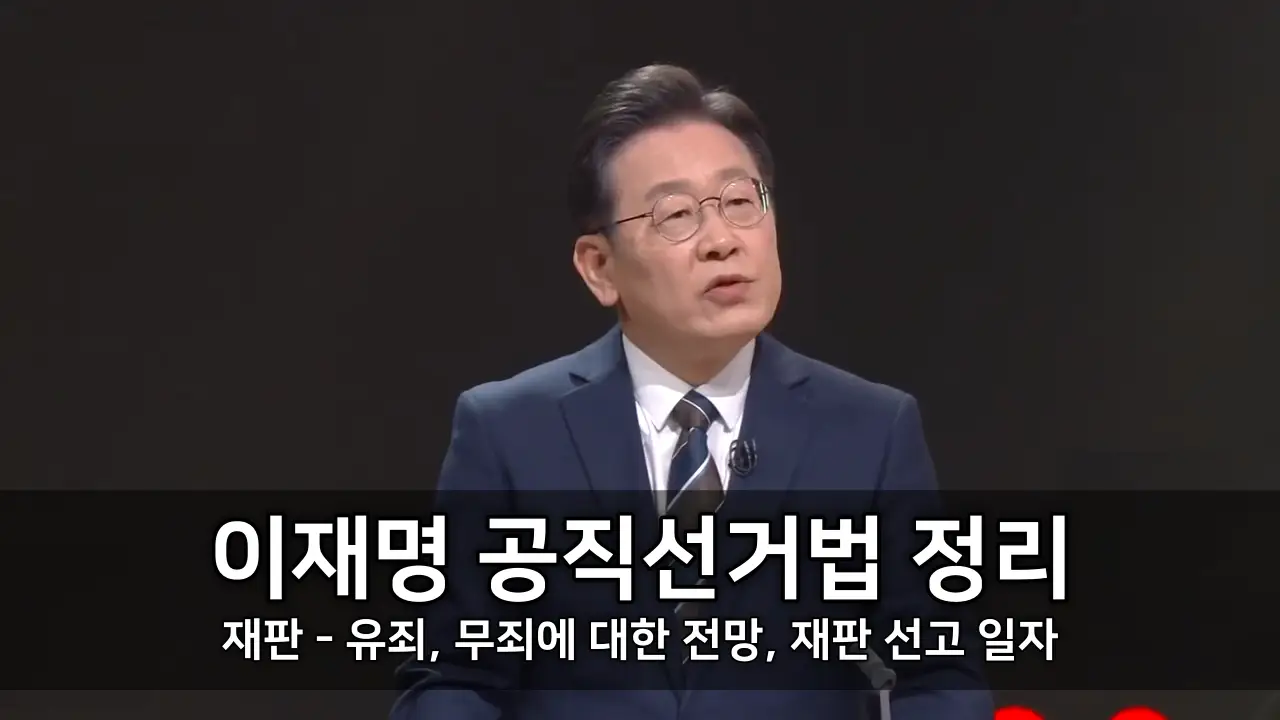 이재명 공직선거법 위반 재판 정리 - 유죄, 무죄에 대한 전망, 재판 선고 일자