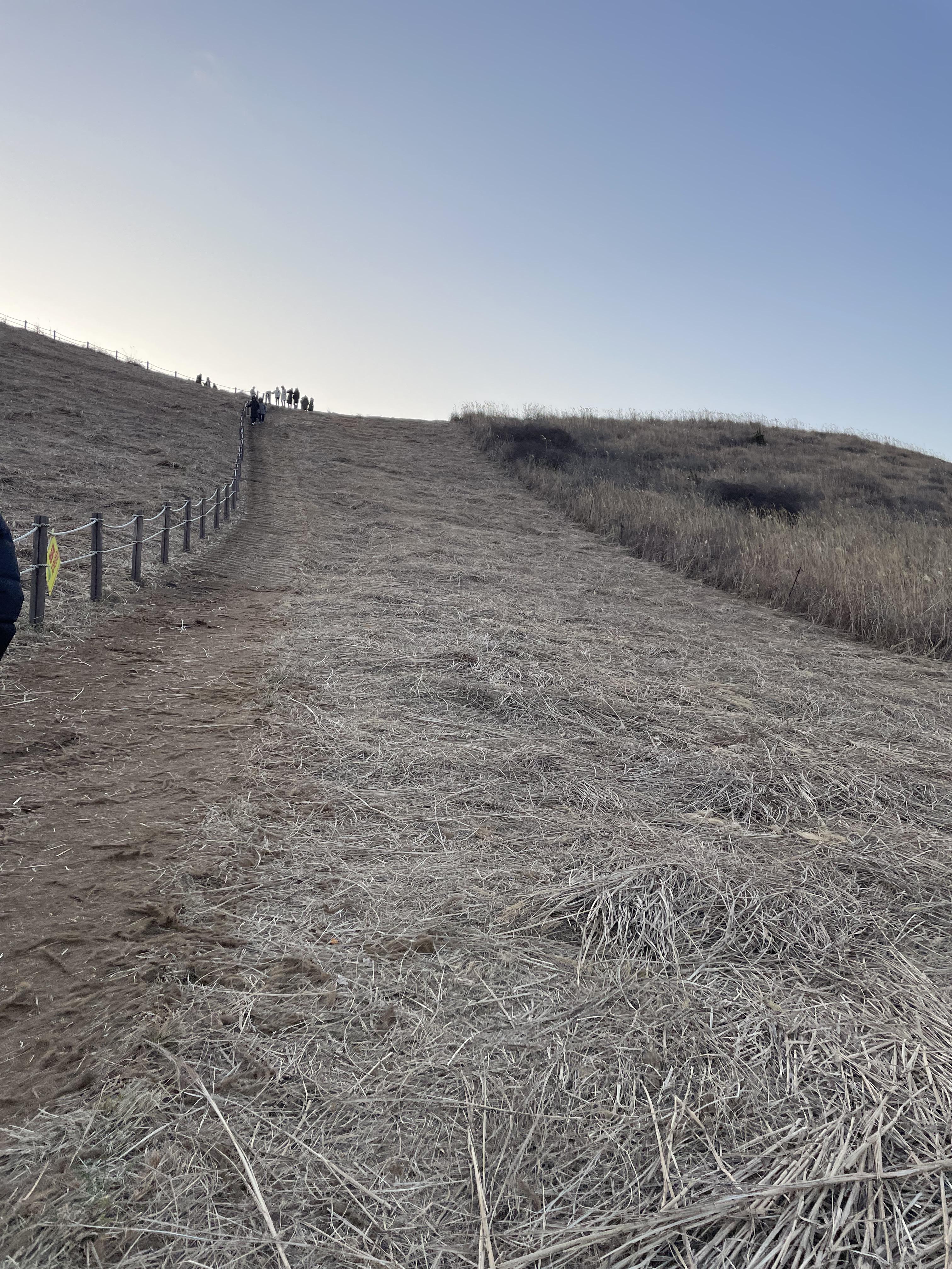 새별오름등산로