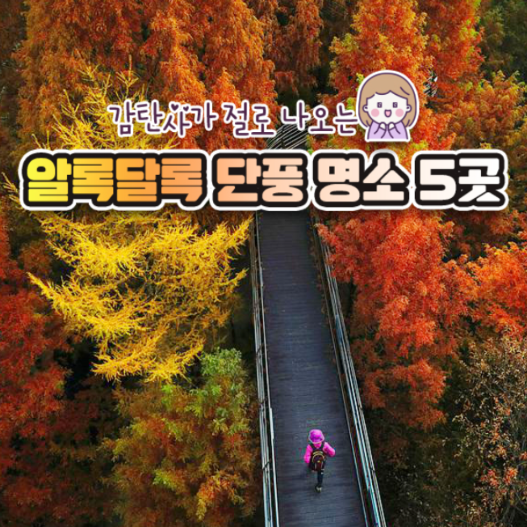 단풍 풍경