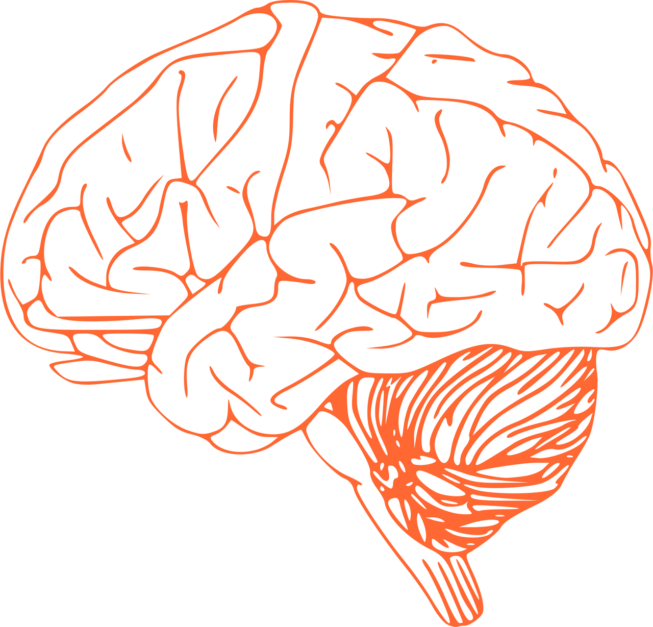 기억력 감퇴, 몇 살부터 시작될까? 뇌과학으로 보는 진실