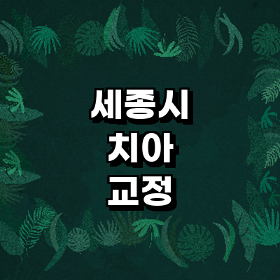 세종시 교정 치과