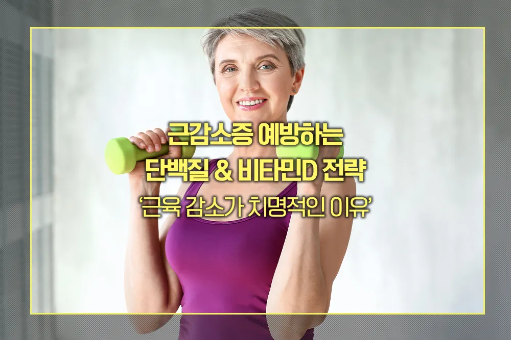 근감소증 단백질 비타민D
