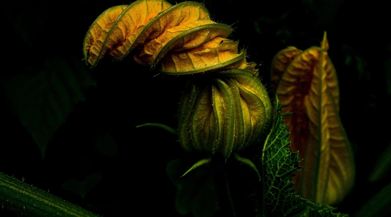 쾌적한 주거 환경의 중요성