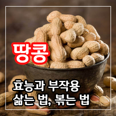 땅콩 효능 15가지와 부작용 및 삶는 법&#44; 볶는 법