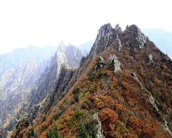 설악산 케이블카_14