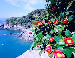 여름 여수 가볼만한곳 베스트10 모음