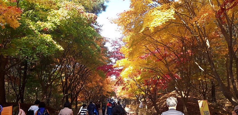 단풍명소