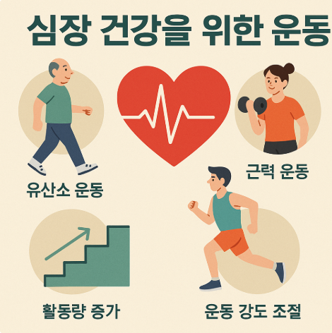 중년 심장 건강을 위한 운동