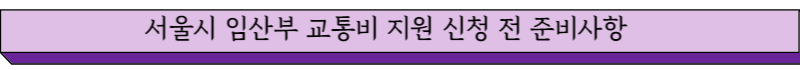 서울시 임산부 교통비 지원 전 준비사항 글씨그림