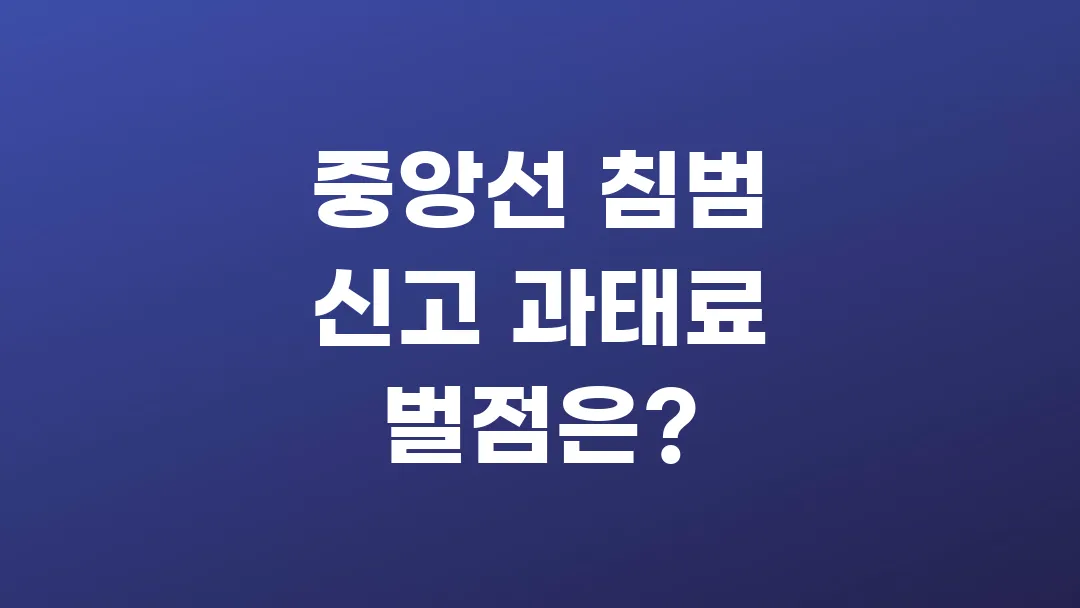 중앙선 침범 신고 과태료 벌점은?