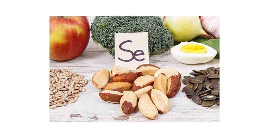 브라질너트및씨앗계란등셀레늄많은음식