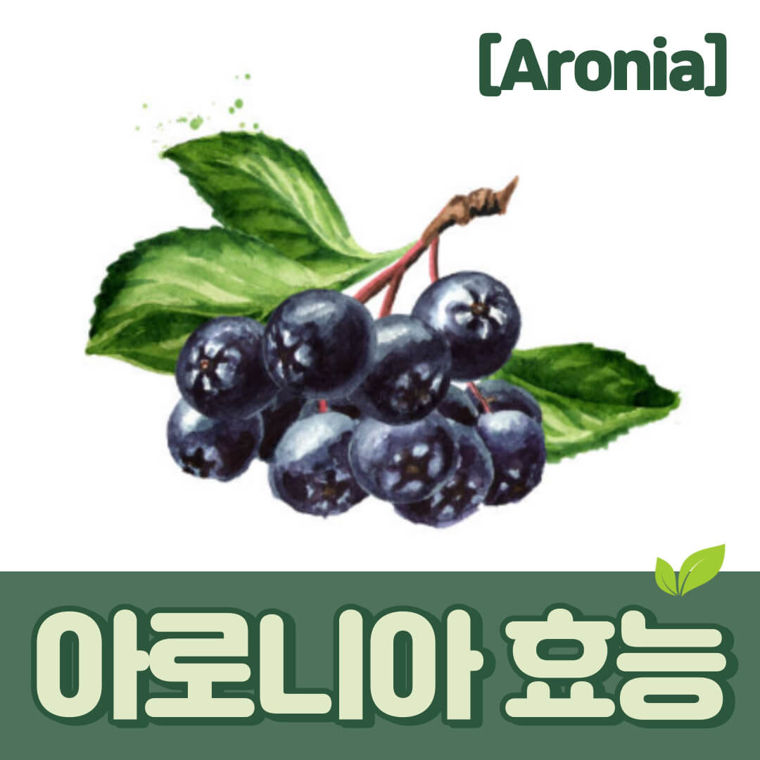 아로니아