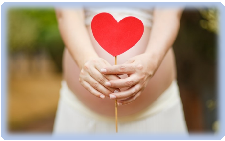 임산부 교통비 지원 받기