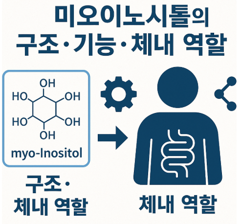 미오이노시톨의 구조, 기능, 체내 역할 총정리 사진