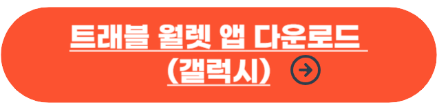 트래블 월렛 카드