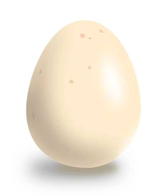 구운계란 보관방법