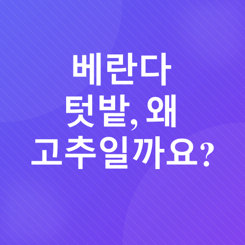 베란다 고추 재배_1