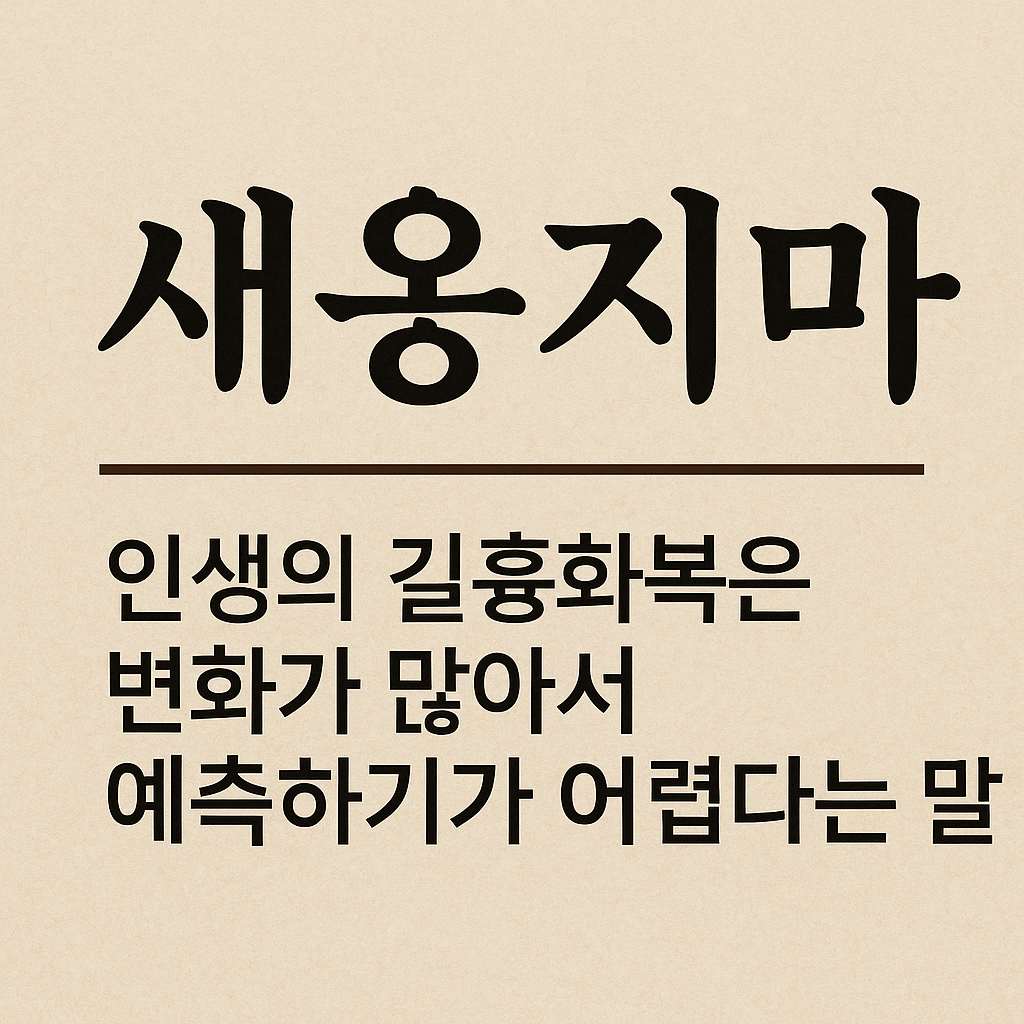 새옹지마 뜻과 유래, 한자풀이, 사자성어, 인생의 길흉화복은 변화가 많아서 예측하기 어렵다는 말