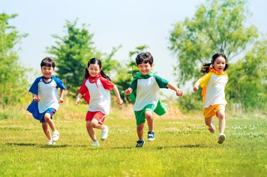 보인부담금-환급금