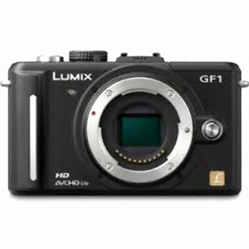 파나소닉 루믹스 DMC-GF1