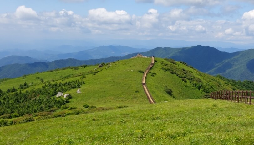 소백산의 탁 트인 정상