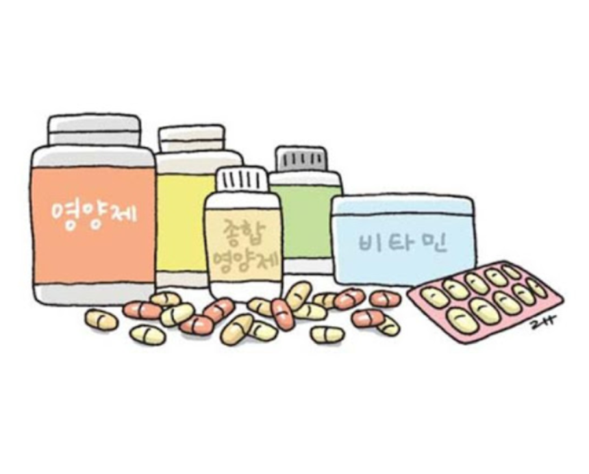 이나영-시서스-필-다이어트-제품과-다른-다이어트-보조제가-함께-정리된-테이블