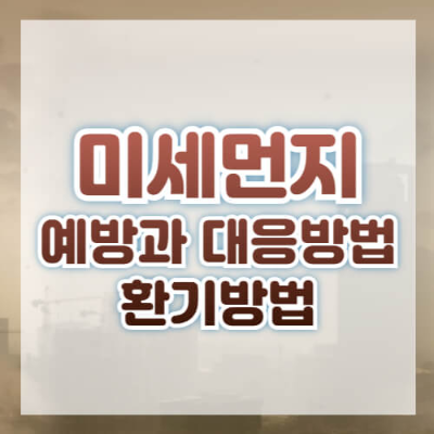 주요 키워드
미세먼지
초미세먼지
미세먼지 차이
초미세먼지 차이
미세먼지 위험성
초미세먼지 위험성
미세먼지 예방법
미세먼지 대응 방법
미세먼지 환기 방법
초미세먼지 환기 방법
보조 키워드
미세먼지 마스크
KF94 마스크
실내 공기청정기
미세먼지 건강 영향
미세먼지 대처법
미세먼지 농도 확인
미세먼지 음식
초미세먼지 건강
미세먼지 공기 관리
실내 환기 요령
롱테일 키워드
미세먼지와 초미세먼지의 차이점
미세먼지 심한 날 환기 방법
미세먼지 예방법과 식단 추천
미세먼지가 건강에 미치는 영향
초미세먼지 대응 방법 및 예방 팁