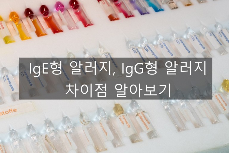 지연성 알레르지