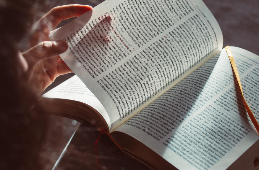 빈도 부사 always / usually / often / sometimes / never 위치 완벽 정리 