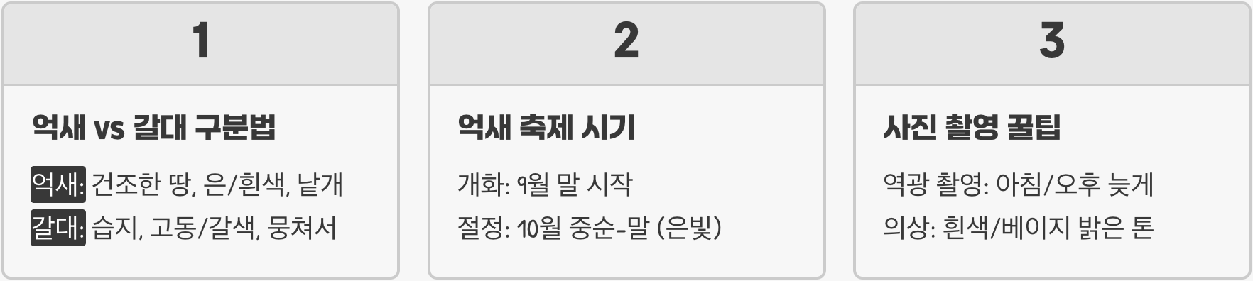 가을 인생샷 명소, 전국 억새 군락지 BEST 7