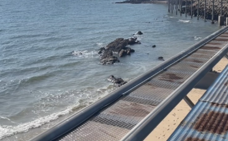 대천 스카이바이크