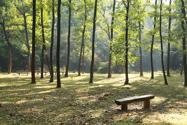 4월 국내여행지 추천 BEST 5! 걷기 좋은 봄 힐링 여행지 총정리 (2025년 최신)