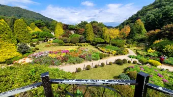 아침고요수목원 입장료 근처 맛집 펜션 추천_6