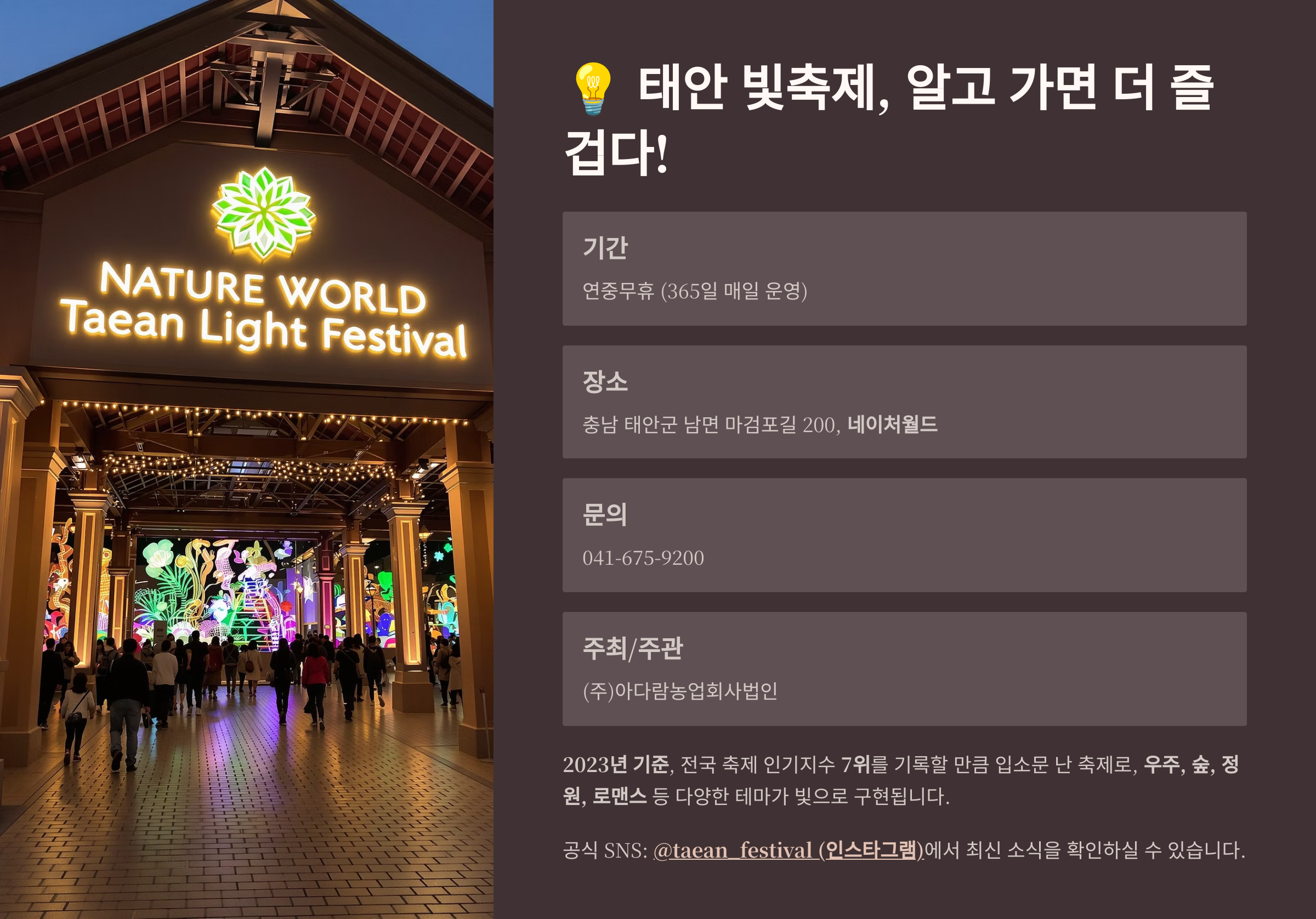 태안 빛축제 총정리