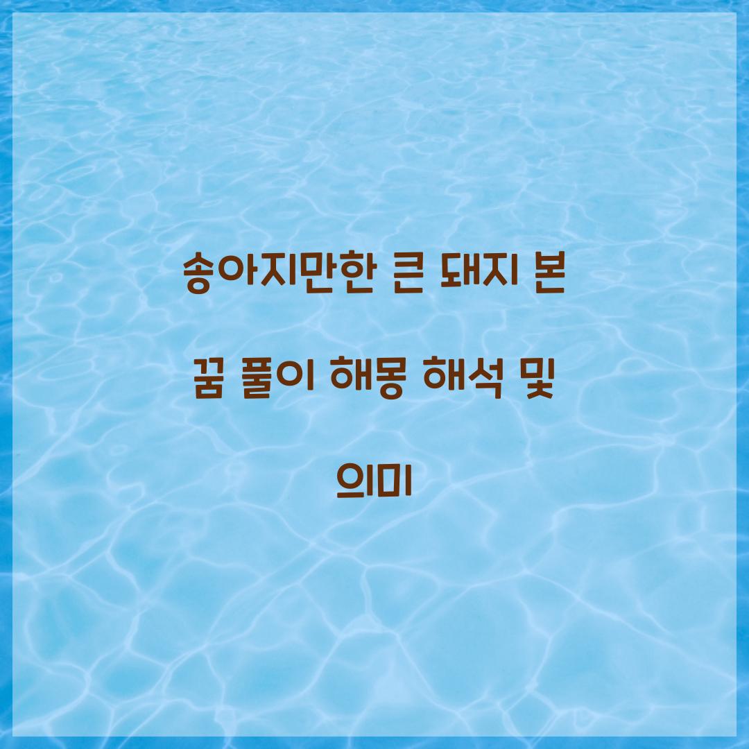 송아지만한 큰 돼지를 본 꿈 풀이 해몽 해석