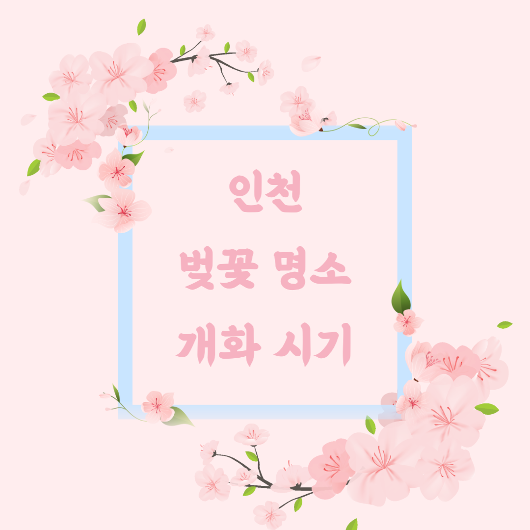 인천 벚꽃 명소 개화 시기