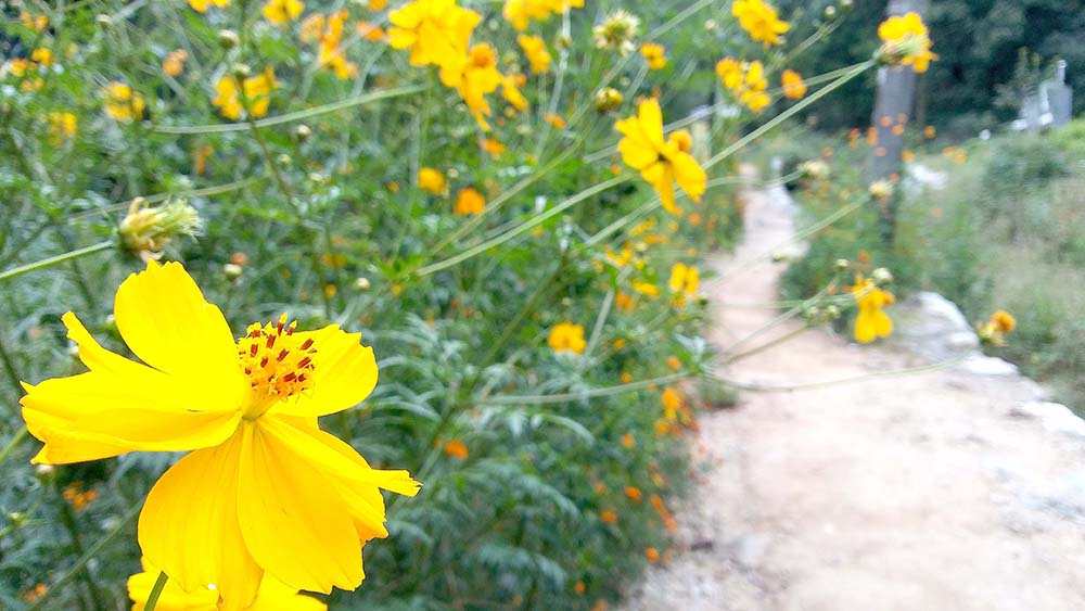 관악산&middot;삼성산 '9월의 더위'