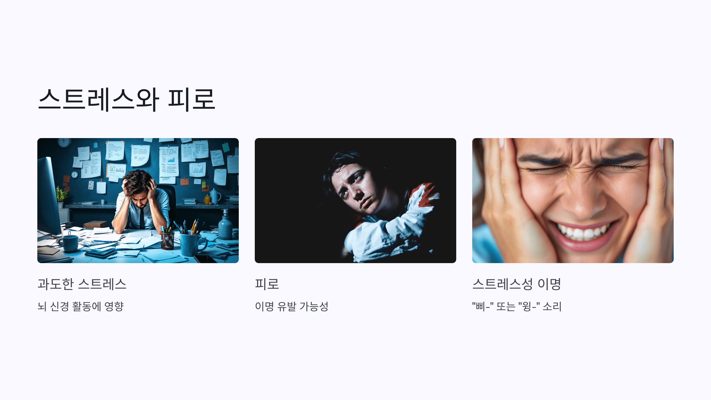 귀 사진입니다.