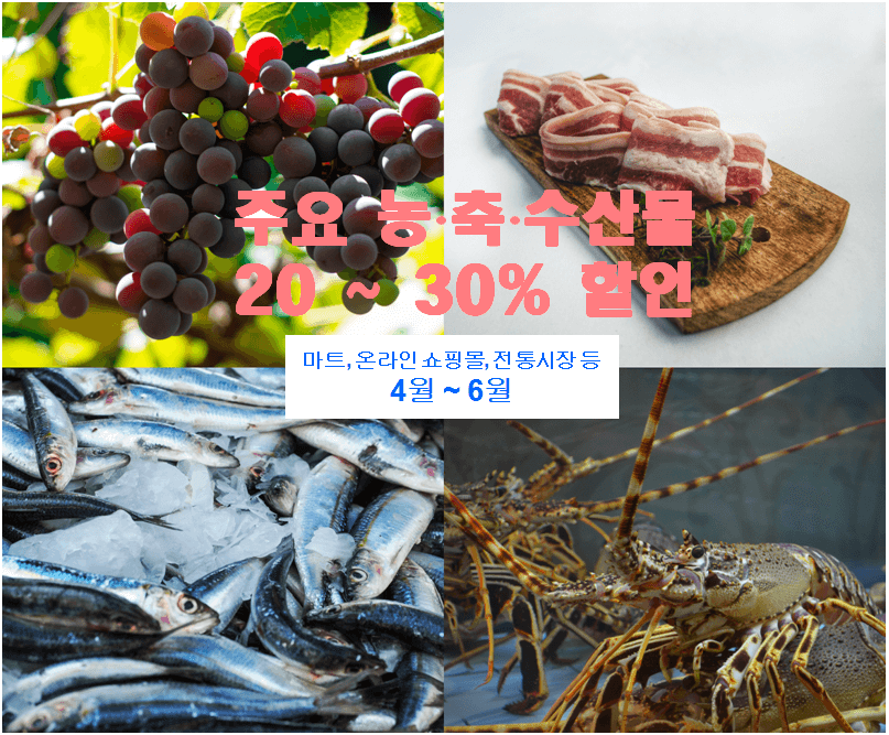 주요 농축수산물 20~30% 할인지원(마트, 온라인쇼핑몰, 전통시장 등)