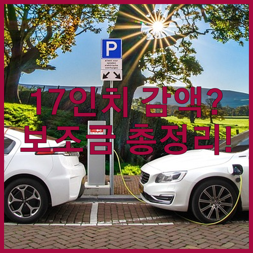 캐스퍼 일렉트릭 17인치 모델 선택 ..