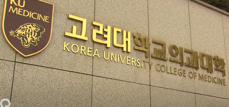 의대생 복귀 논란